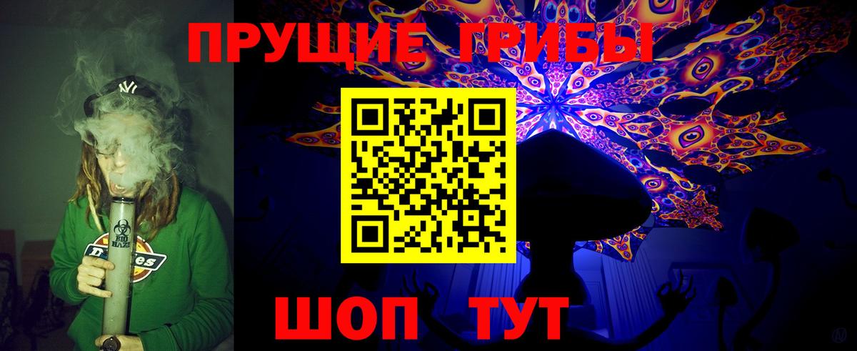 Псилоцибиновые грибы мицелий  Вход с VPN  Славгород 